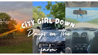 December Decompress amp Debrief  Days on the farm  Namibian YouTuber [upl. by Kramlich]