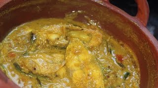 Fish Moilee  Traditional Spicy Curry [upl. by Groh]