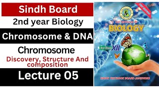 chromosome  chromosome and DNA  class 12 biology Sindh board new book [upl. by Lev698]