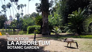 LA Street View Tour Los Angeles Arboretum Botanic Garden 4K [upl. by Epifano]