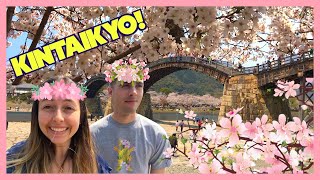 Cherry Blossom festival at the Kintai Bridge  Kintaikyo Sakura  Japan vlogs [upl. by Edals421]