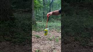 Survival Skills Mosquito and Midge Repellent survival outdoors bushcraft camping [upl. by Berey781]