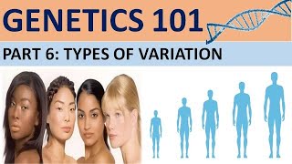 GENETICS 101 Part 6 Types of VariationCXC Biology Tutor [upl. by Eirek]