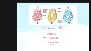 ECCRINEAPOCRINE AND HOLOCRINE GLAND DIFFERENCES [upl. by Agate]