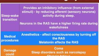 RAS and Thalamus role in Consciousness [upl. by Ynehteb]