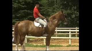 Equitation  Galop 1amp2  Cheval [upl. by Zolly]