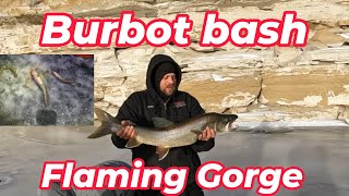 Ice Camping Fishing For Burbot amp Lake Trout Burbot Bash [upl. by Yoshio]