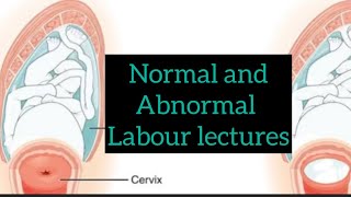 Normal and abnormal labor lectures part 3 Physiology of labor obslecturesobs tenteachers [upl. by Semreh]