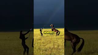 Girl Trains Wild Horses 🤯 [upl. by Dnomra]