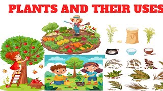 PLANTS AND THEIR USES  Uses of plants  Plants and their uses for kids  Easy to learn for kids [upl. by Aneelak]