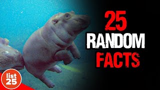 25 Astonishing Random Facts That Will Leave You in Awe [upl. by Shien488]