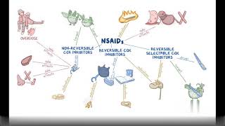 Non Steroidal Anti Inflammatory Drugs NSAIDs Pharmacology [upl. by Annodas]