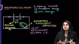 CELL INJURY PATHOLOGY RAPID REVISION FMGE INICET NEETPG [upl. by Zink]