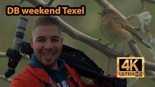 De Mooiste en Zeldzaamste vogels van het Dutch Birding Vogelweekend Texel 2023 [upl. by Killen788]