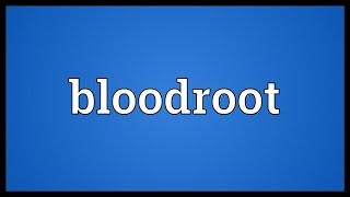 Bloodroot Meaning [upl. by Htilil]