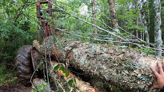 240D Timberjack Cable Skidder First Day on The New Cut What Could Go Wrong Detroit 453 5 Speed [upl. by Alena]