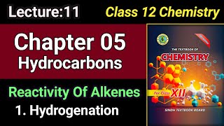 Hydrogenation Of Alkenes  Ch05 Hydrocarbons  Class 12 Chemistry Sindh Board [upl. by Wilfred134]