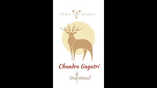 Chandra Gayatri Mantra from Yogini Shambhavi [upl. by Eirdua842]