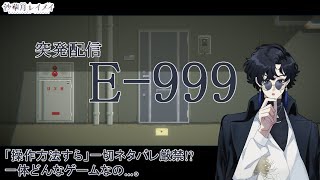 【突発配信】操作方法すらネタバレになるE999というゲームがあるらしい【新人Vtuber沙華月レイメイ】 [upl. by Natika362]