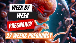 Week by Week Pregnancy  27 Weeks Pregnancy [upl. by Modnarb183]