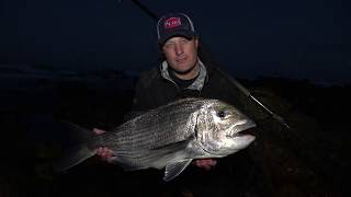 How to catch a mussel cracker  Alikreukel Giant Turban Bait [upl. by Etheline]