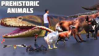 prehistoric animals size comparison  cenozoic beasts size comparison [upl. by Hollister]