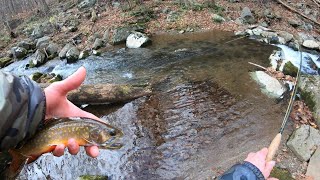 Fly Fishing Virginia Mountain Stream For Appalachian Native Brook Trout Halloween Trout Fishing [upl. by Sutherland]