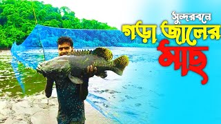 adventure bd  সুন্দরবনে গড়া জাল দিয়ে মাছ ধরলাম  Fishing Of Sundarban [upl. by Benildas401]