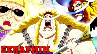 EDWARD WEEVIL IST IN WAHRHEIT DER ERSTE SERAPHIM😱  VEGAPUNKS PLAN ENTHÜLLT  ONE PIECE THEORIE [upl. by Alemat239]