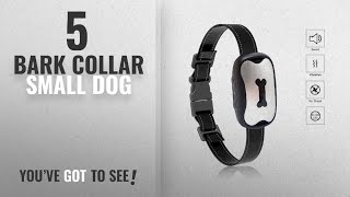 Top 5 Bark Collar Small Dog 2018 Best Sellers Yappy Dog Bark Collar New Version Humanely Stops [upl. by Aerised]