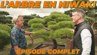 La Visite Complète de BRENELIA NIWAKI avec YVES BRENELIÈRE 🌳 ⛩️ [upl. by Dacie]