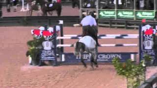 Video of CASSIONATO ridden by NICK SKELTON from ShowNet [upl. by Ardnassela]