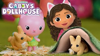 Help A Baby Bunny Find Its Home Animal Learning For Kids  GABBYS DOLLHOUSE TOY PLAY ADVENTURES [upl. by Barbi]