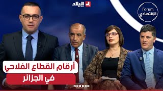 فوروم الإقتصادي ماهي أرقام القطاع الفلاحي في الجزائر؟ وما أهمية تحديدها ؟ [upl. by Nadbus785]