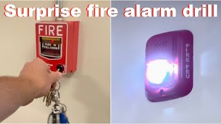 Surprise fire alarm drill at elementary school Lseries and notifier [upl. by Tiertza]