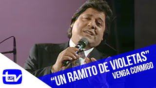 Mi Banda El Mexicano  Ramito de Violetas  Letra [upl. by Friede]