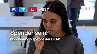 Spender sein Knochenmarkspende der DKMS I RTL WEST 05092024 [upl. by Wassyngton]