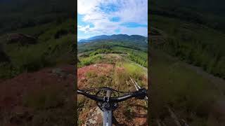 Largest rock slab in the Cowichan valley  Fairservice Fun🗻mtb steeps shred downhill freeride [upl. by Shing]