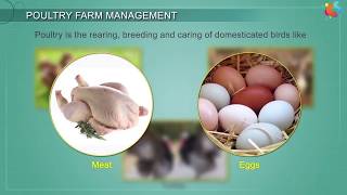 Poultry Farm Management [upl. by Nahrut]