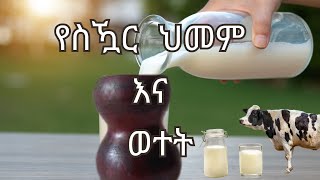 ወተትን ለስኳር ህመም በምን መልኩ እንጠቀመው [upl. by Nylodnew630]