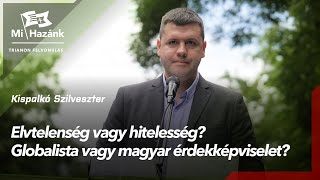 Elvtelenség vagy hitelesség Globalista vagy magyar érdekképviselet Ez a kérdés június 9én [upl. by Dianuj]