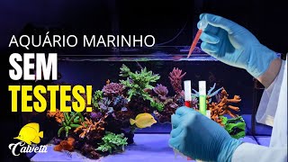 Aquário marinho sem testes é possível [upl. by Rothwell]