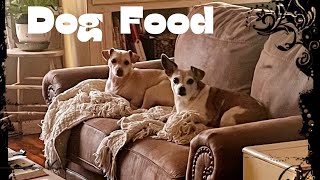 Homemade Dog Food For Less Than You Think [upl. by Buckley375]