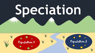 Speciation The Evolutionary Process  Basic Science Series [upl. by Einnol763]