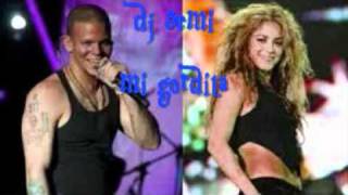 shakira feat calle 13 mi gordita remix [upl. by O'Dell]