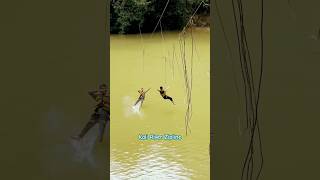 Zipline in Dandeli KaliRiver watersport trip friends karnataka [upl. by Bourgeois]