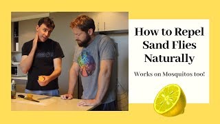 How to Repel Sand Flies  Natural Sandfly amp NoSeeUm Repellent [upl. by Fabio]