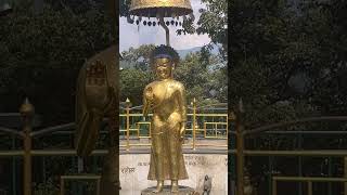 Swayambhunath Temple Kathmandu [upl. by Mountfort]