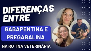 Diferenças entre gabapentina e pregabalina na rotina veterinária [upl. by Ydarg820]