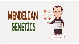 Mendelian Genetics  Biology Animation [upl. by Ramsdell]